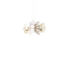 2ct Natural Diamond Studs With 1/2ct Enhancers In 14kt White Gold Friction Back Earrings.